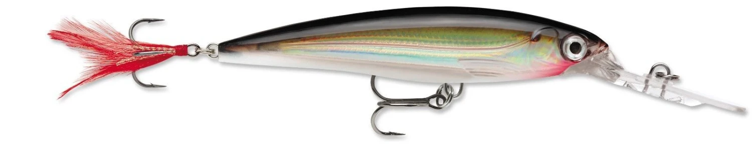 Rapala X-Rap Deep 10 Deep Diving Jerkbait - Image 6